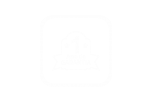 1 ano de garantia